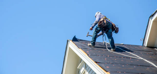 Roof Gutter Cleaning in Labelle, FL